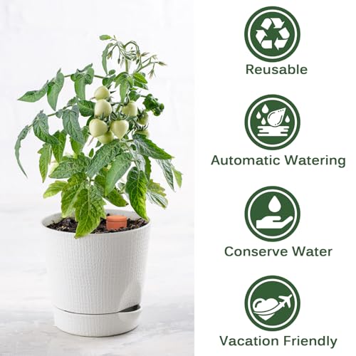 Terracotta Ollas Watering Pots, 2 PCS Slow Release Plant Watering Globes Terracotta Self Watering Planter Insert, Holds 15 Oz Water Automatic Watering System for Potted Plants While On Vacation - view 4