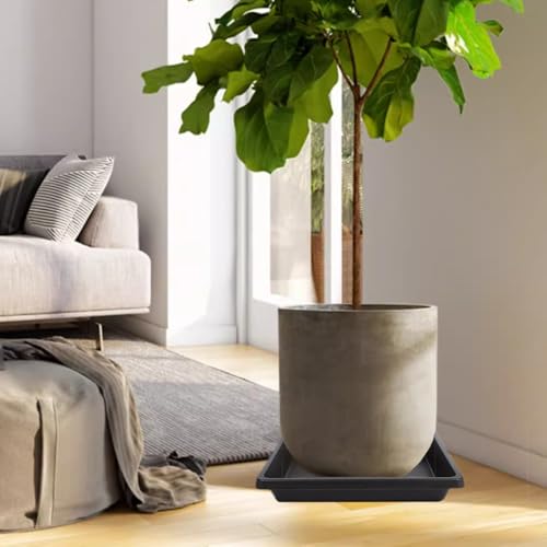 Plant Saucer 12 Inch Square 4 Pack 6 8 10 14 16 18 20 inch, Plant Saucers for Indoors and Outdoors, Saucers for Potted Plants, Planter Saucer, Plant Water Catcher Trays for Pots - view 7