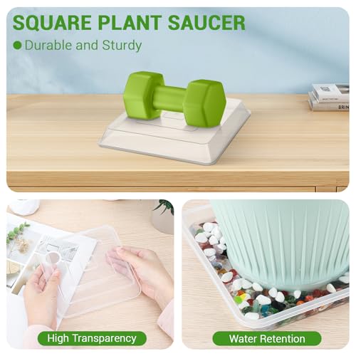 6 Inch Square Plant Saucer, 6 PCS Plastic Tray for Pot-Fits Planters Up to 5″ Bottom Diameter, Durable Thick Flower Pot Plant Drip No Holes for Indoor Outdoor Planter(Clear) - view 4