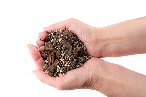 Premium Aroid Potting Mix - Soil Free Blend for Aroids - Growing Medium for House Plants - (1 Quart Bag) - view 3