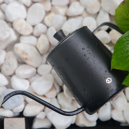 Watering Can for Indoor Plants, Black Water Can Spray Bottle 2 Pack - view 4