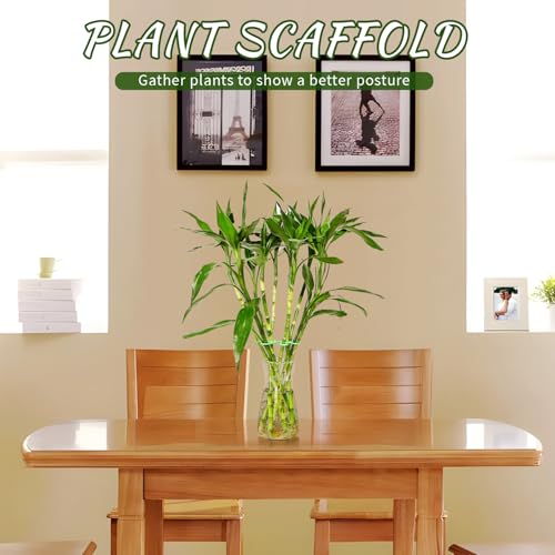 4 Pcs Plant Stem Supports for Indoor Plants, Assorted Sizes Plastic Plant Stabilizer Growth Accessories Plant Stakes Holders for Monstera Potted Climbing Plant (4, Green) - view 3