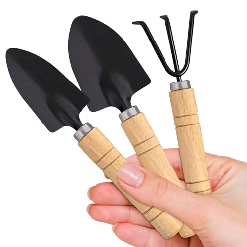 Mini Garden Tools Set, Small Gardening Tools for Indoor Plants, 3-Piece Kit
