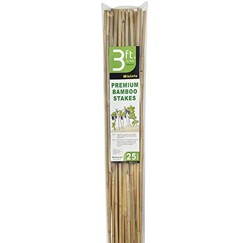 Natural Bamboo Stakes 3 Feet, Eco-Friendly Garden Stakes, Plant Stakes Supports Climbing for Tomatoes, Trees, Beans, 25 Pack - view 6