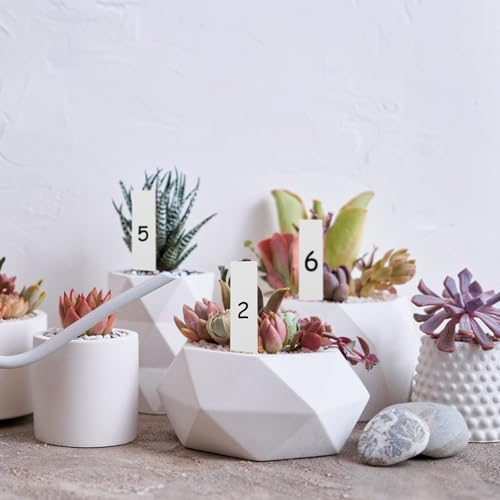 Succulent Plant Tool Kit, ABS Gardening Hand Tools Set - view 6
