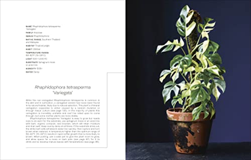 Not Another Jungle: Comprehensive Care for Extraordinary Houseplants - view 7