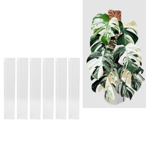 Moss Pole Plastic Plant Pole 17 Inch D Shaped Closure Design Water Retaining Easy Attachment for Climbing Training Larger Leaves Stackable for Taller Plants (6PCS) - view 3