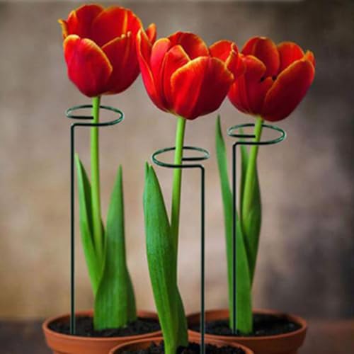 5pcs Iron Plant Support Stakes, Green Reusable Rods - view 6