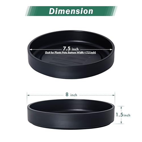 8" Heavy-Duty Plastic Plant Saucer, Black, 21-B-8-1 - view 2