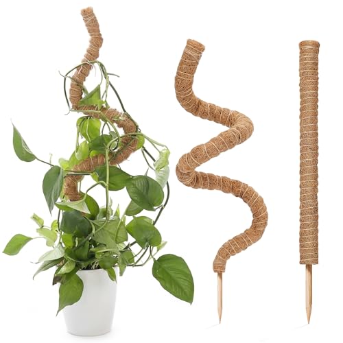 Bendable Moss Pole for Monstera – 2 Pack, 28 Inch Coco Coir Plant Support for Climbing Plants, Philodendron & Pothos, Flexible Aluminum Core for Indoor Plants with Plant Ties - view 2