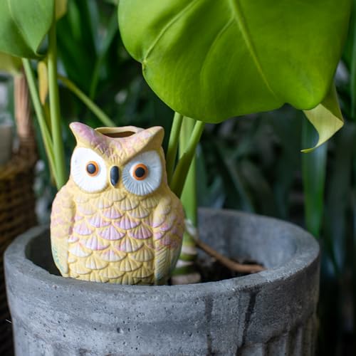 Owl Shaped Self-Watering Spikes - Effortless Plant Care for Your Garden, Whimsical and Charming Design for Indoor and Outdoor Plants, Keep Your Plants Hydrated While on Vacation - view 3
