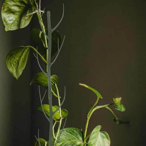 Decorative Plant Support Stakes, Tree Branch Shape, Climbing Frame - view 7