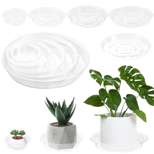 Plant Saucer 40 Pack Plant Trays for Pots 8 Inch Plastic Plant Saucers for Outdoors and Indoors Clear Drip Trays for Potted Plants Flower Pot Plates to Catch Water Plant Drainage Dishes No Holes - view 7