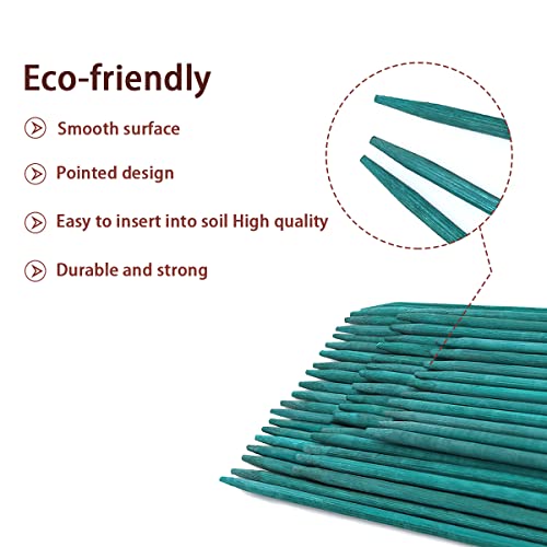 Green Bamboo Plant Stakes, 50 Pcs 18 Inches Floral Support Sticks - view 3