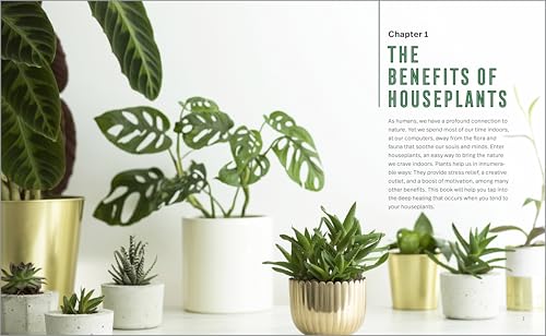 Houseplants for Beginners: A Practical Guide to Choosing, Growing, and Helping Your Plants Thrive - view 4