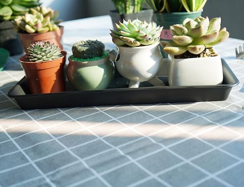 6 Pack Plastic Plant Tray Saucer Rectangular, Heavy Duty Planter Saucers for Indoors, Plant Water Drip Trays for Flower Pot Planter, Windowsill Pot Tray, Seed Starting Growing Trays - view 3
