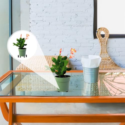 16pcs Rubber Flowerpot Cushion Shockproof Pad for Indoor Plant Stands - view 6