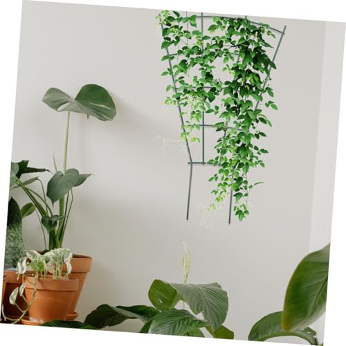 Iron Support Small Plant Trellis 3pcs for Climbing Roses - view 6