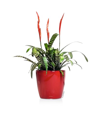 16027 Classico LS 21 Self-Watering Planter, Scarlet Red High Gloss - view 6