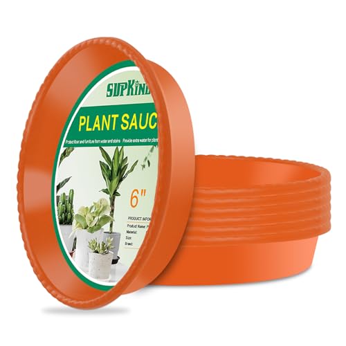 6 Pack Plant Saucers Drip Tray,6 8 10 12 14 Inch Heavy Sturdy Plastic Flower Pot Saucers for Indoor,Clear Plastic Planter Water Tray for Plant Pots Liners (6''-Clear) - view 7