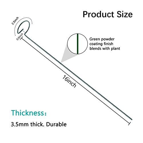 12 Pack 16 Inch Plant Support Stakes, Metal Single stemmed Flower Support Hoops，Garden Plant Stakes Plant Prop for Amaryllis Orchid Lily Rose Peony Tomatoes Gladiolus - view 3