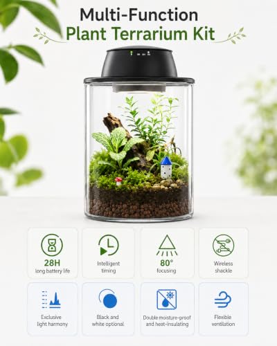 Plant Terrarium Kit with Rechargeable Grow Light 8", Gift for Mom (L) - view 2
