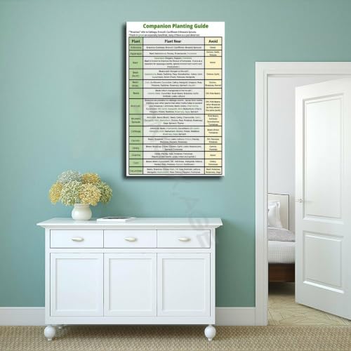Companion Planting Guide Poster Plantings Types (6) - view 4