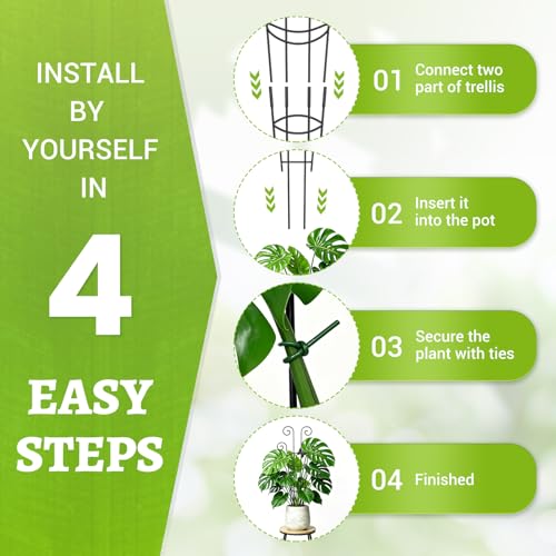 Plant Trellis 2 Pack Trellis for Potted Plants 29.96 in Trellis for Climbing Plants Indoor Plant Support Expandable Metal Monstera Plant Support for Pothos Ivy with Plant Ties - view 4