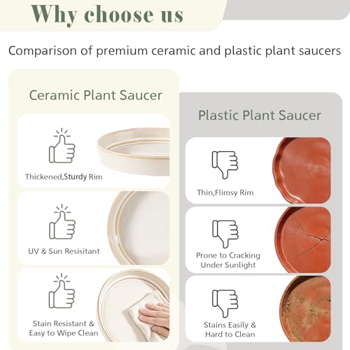 Plant Saucers, 2-Pack 6.5 Inch Ceramic Flower Pot Saucers, Thickened Plant Pot Saucers, Plant Trays to Catch Water for Indoors Outdoors Medium Potted Plants (White) - view 5