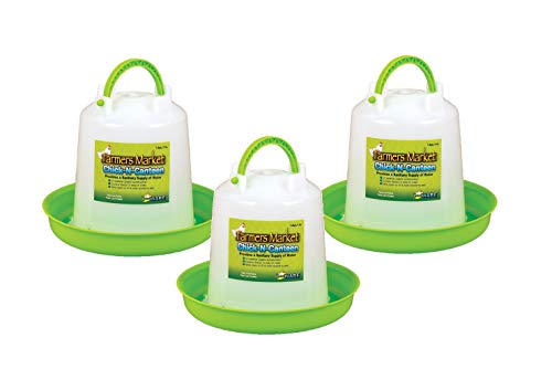 3 Pack of Chick-N-Canteen, Small Bird Waterer