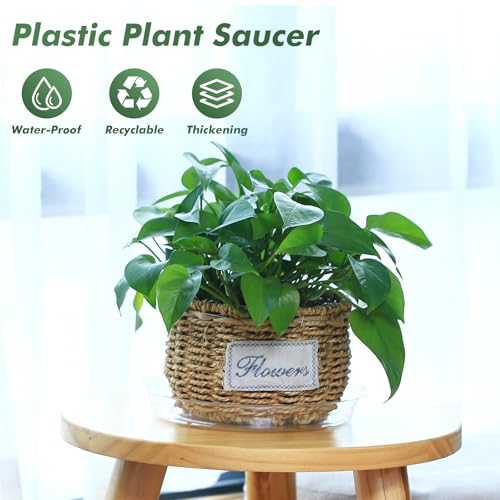 60 Pack 6 Inch Plant Saucer Clear Plant Saucers for Indoors Flower Pot Saucers Small Plants Plate Dish Succulent Pot Saucer Plants Trays for Pots Bulk Plastic Tray for Flower Cactus Nursery Pots - view 2