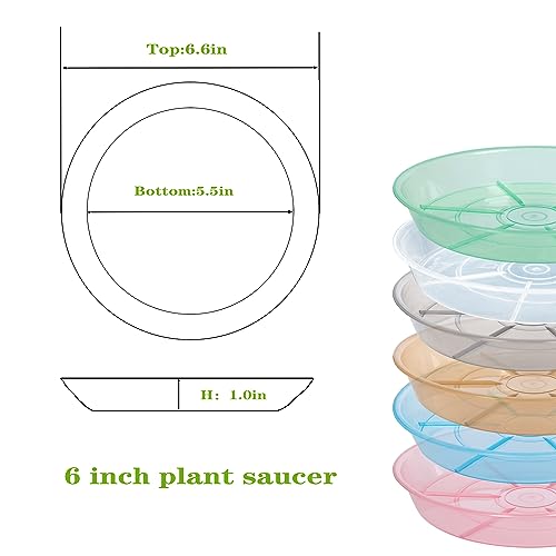 6 Pack 6 inch Plant Saucer Drip Tray, 4 5 6 8 9 10 12 14 16 18 inch, Heavy Sturdy Plastic Planter Flower Pot Saucers for Indoor Outdoor Garden, Plant Water Drip Trays for pots Base (6", Clear) - view 2