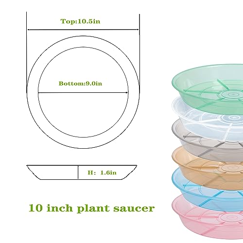 6 Pack Plant Saucer Drip Tray 9 10 inch, Plant Dishes Saucer, Heavy Sturdy Plastic Planter Flower Pot Saucers for Indoor Outdoor Garden, Plant Water Drip Trays for pots (10", Clear) - view 2