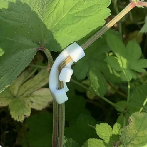 Branch bender 150Pcs 90 Degree Branches Clips Fruit Tree Plant Vines Curving Shapers Twisting Styling Bonsai Curved Elbow Garden Tools for Plant Bonsai Garden Home(Green) - view 6