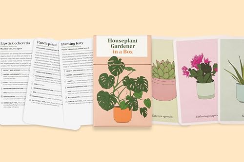 Houseplant Gardener in a Box: An Illustrated Houseplant Care Card Deck for Indoor Gardeners - view 6