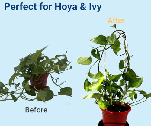 2 Pack U-Shaped Clear Acrylic Plant Supports - 14 inches Indoor/Outdoor Climbing Vine Trellis for Potted Plants, Ideal for Ivy & Tropical Houseplants,Plant Support Hoya Trellis - view 4