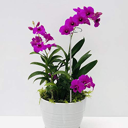 30 Inch Or 16 InchPlant Stakes for Flowers - 5 Pack, Adjustable Height - view 4