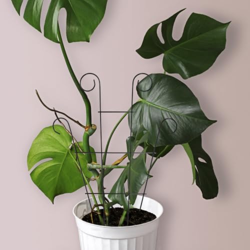 Metal Garden Trellis Black Iron Vine Support Frame for Climbing Plants - view 7