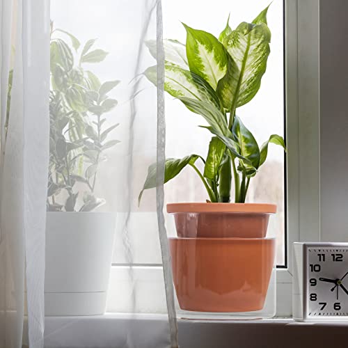 Self Watering Terracotta Planter Pot, 6 in, 2-Pack, 37-Y-B-1 - view 5