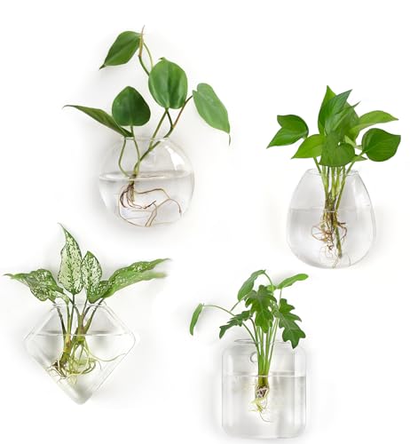 Wall Propagation Planters, 4 Pack Glass Hanging Vase Plant Holder