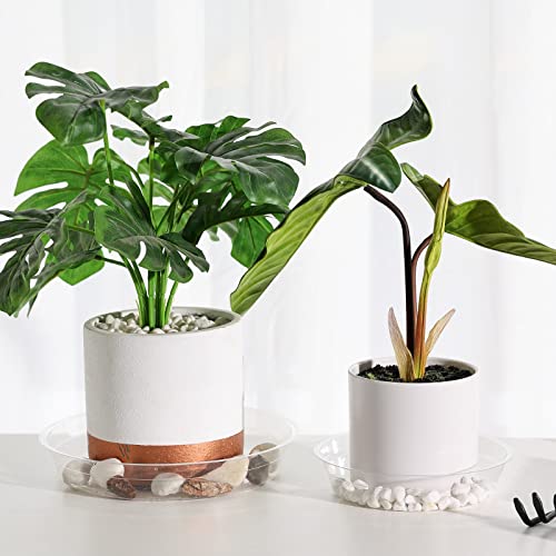 15 Pack(6 inch/8inch/10inch) Clear Plant Saucers Flower Pot Tray Excellent for Indoor & Outdoor Plants - view 6