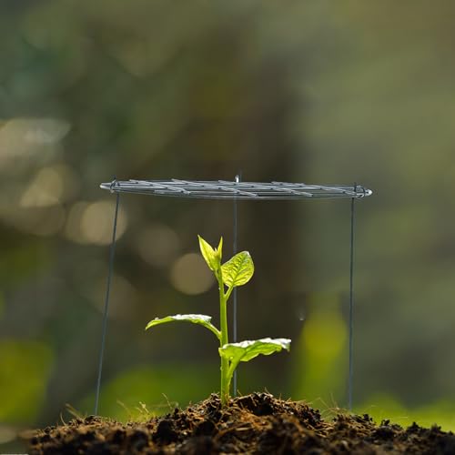 2pcs Iron Plant Climbing Rack Pole for Potted Creeper Garden Support - view 4