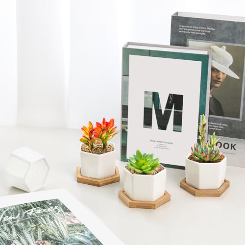 Small Succulent Pots 12 Pack, Mini Flower Planters with Drainage White - view 5