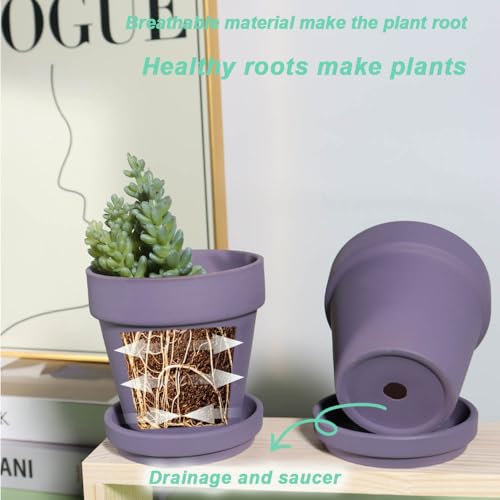 6 Inch Purple Terracotta & Clay Pots with Saucer, 4 Pack - view 6