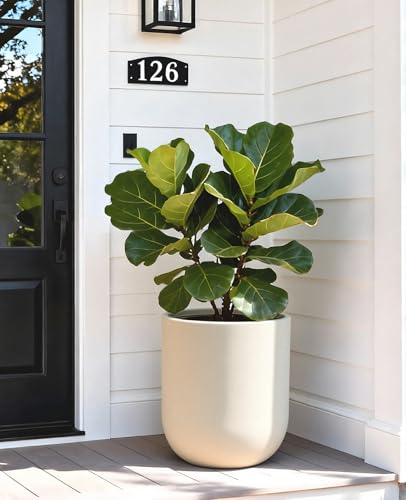 13 Inch Large Plastic Planter with Drainage for Houseplants - view 3