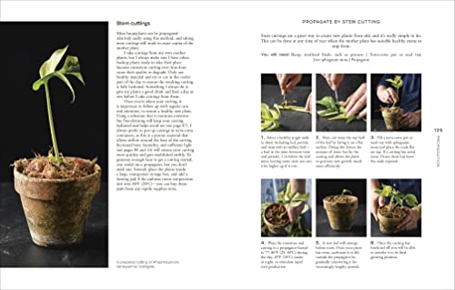 Not Another Jungle: Comprehensive Care for Extraordinary Houseplants - view 6