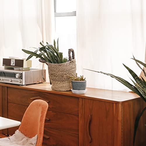 10 Pack Clear Plastic Plant Saucer, Durable Plant Trays Flower Plant - view 6