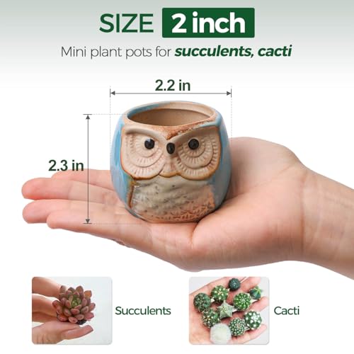 Owl Succulent Pots, Mini Ceramic Gift Pots with Drainage, Retro 6 Pack - view 2