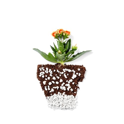 Perlite Bliss (4 Cubic Ft) - Organic Perlite for Plants Indoor Soil Amendment - Bulk Perlite for Gardening & Seed Starting - Mixes Easily with Potting Soil, Vermiculite, & Coco Coir for Plants - view 5