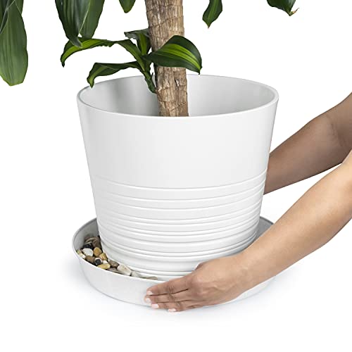 14 Inch (12 inch Base), Case of 2, Plant Saucers - view 4